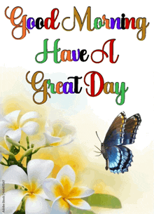 Good Morning Have A Nice Day GIF