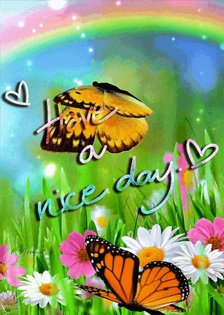 Good Morning Have A Nice Day GIF