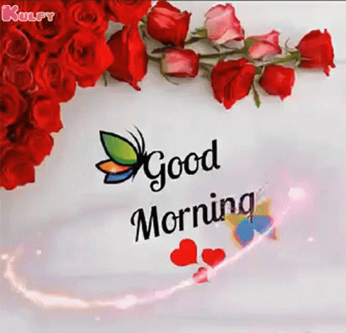 Good Morning Have A Nice Day GIF