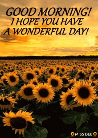 Good Morning Have A Wonderful Day GIF