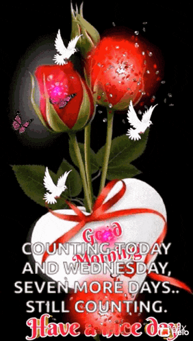 Good Morning Have Nice Day GIF