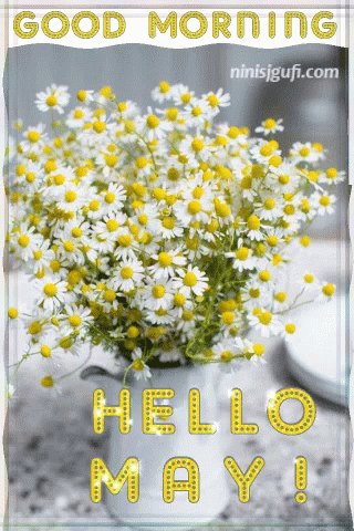 Good Morning Hello May GIF