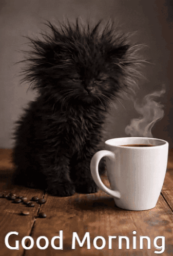 Good Morning Hello GIF