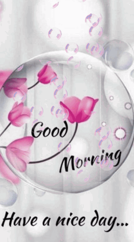 Good Morning Hello GIF. This 277 x 498 animated GIF is part of our guten morgen und schonen tag collection. Related themes include good day, good morning…
