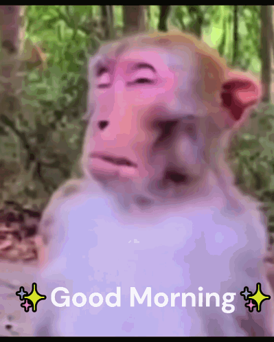 Good Morning Hello GIF