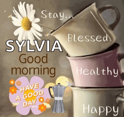 Good Morning GIF
