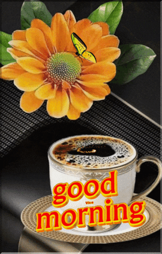 Good Morning GIF