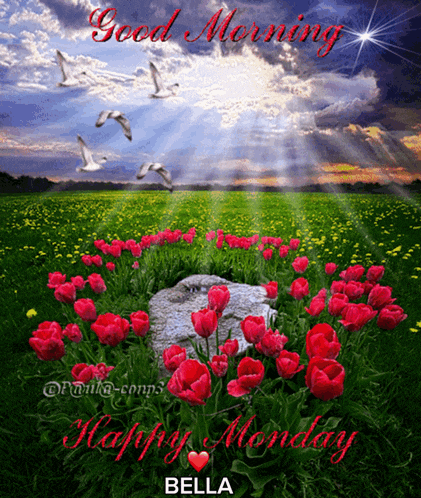 Good Morning GIF