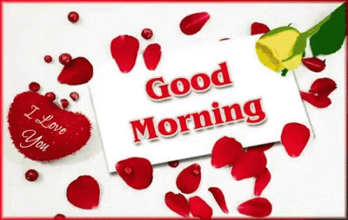 Good Morning I I Love You GIF