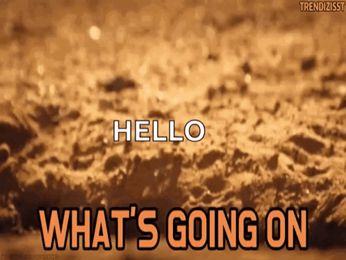 Good Morning I Love You Good Morning I Love You Gif GIF