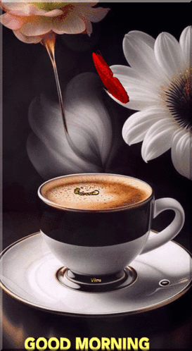 Good Morning GIF