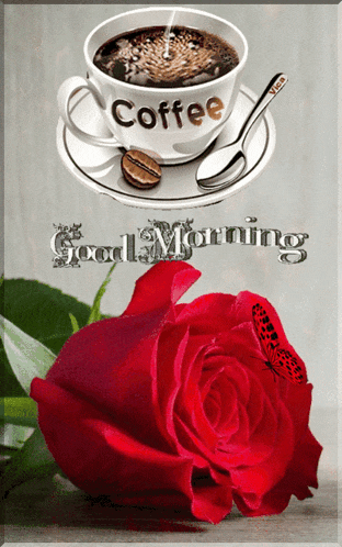 Good Morning GIF