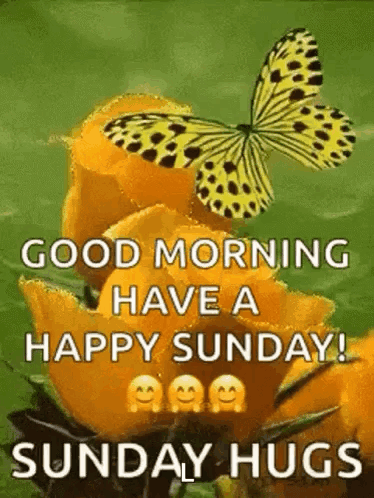Good Morning Images 2024 GIF