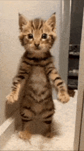 Good Morning Images GIF