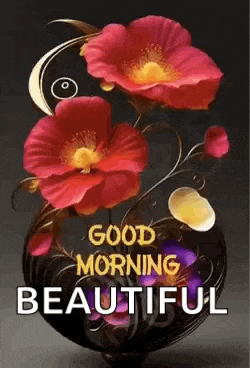 Good Morning Images Good Morning Images New 2023 Meme