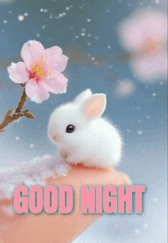 Good Morning Images Meme