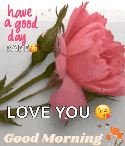 Good Morning Images New 2023 GIF