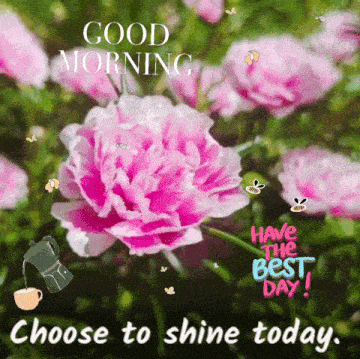 Good Morning Images New 2023 GIF