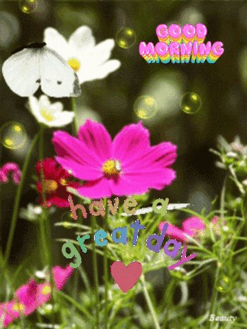 Good Morning Images New 2023 GIF
