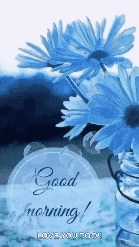 Good Morning Images New 2023 GIF