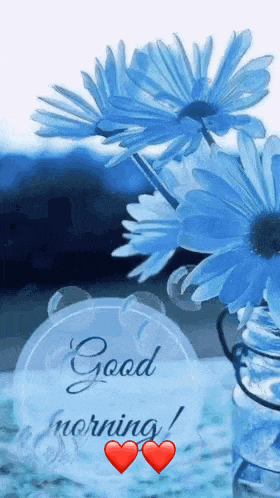 Good Morning Images New 2023 GIF