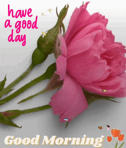 Good Morning Images New 2023 GIF