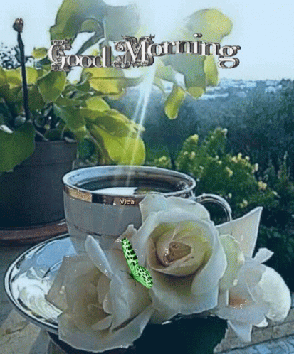 Good Morning Images GIF