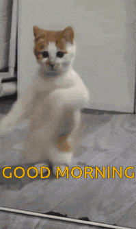 Good Morning Images GIF