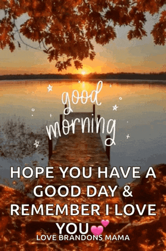 Good Morning GIF