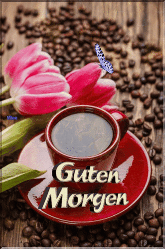 Good Morning GIF