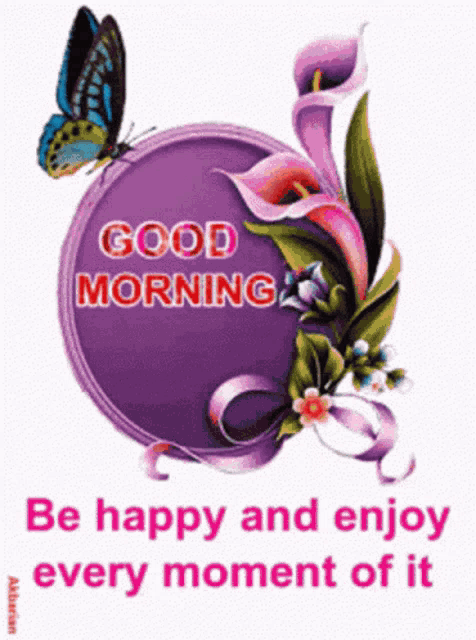 Good Morning GIF