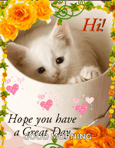 Good Morning GIF