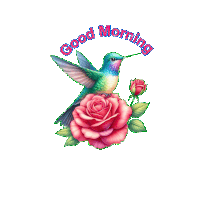Good Morning Sticker