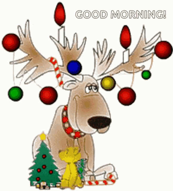 Good Morning GIF