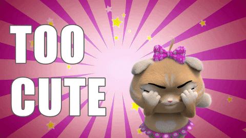 Good Morning GIF