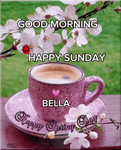 Good Morning GIF