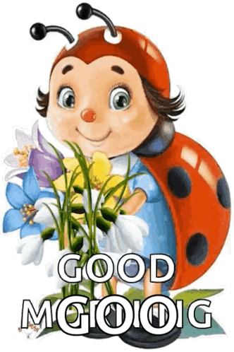 Good Morning Ladybug GIF