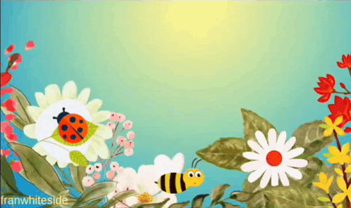 Good Morning Ladybug GIF
