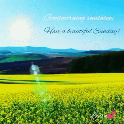 Good Morning Laurasthings GIF