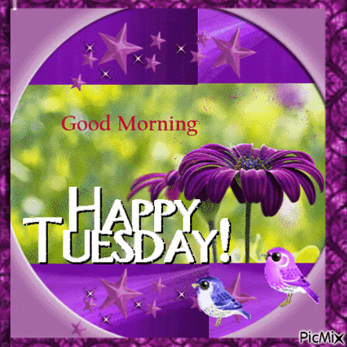 Good Morning GIF