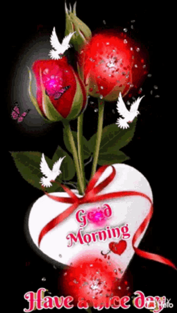 Good Morning GIF