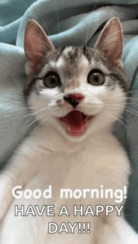 Good Morning Love Good Morning Kiss Meme