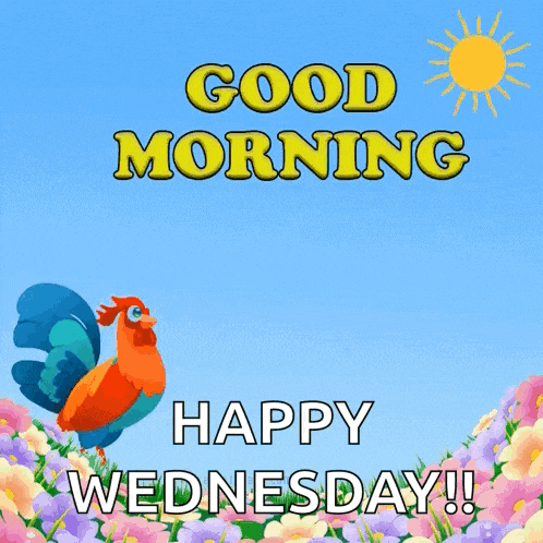 Good Morning GIF