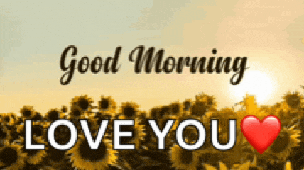 Good Morning Meme