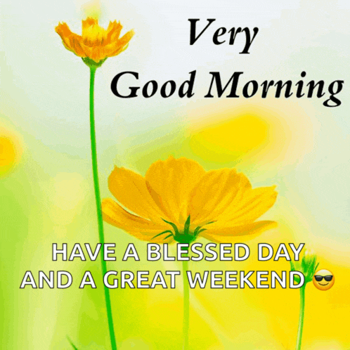 Good Morning Meme