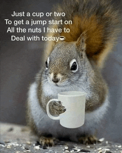 Good Morning Meme