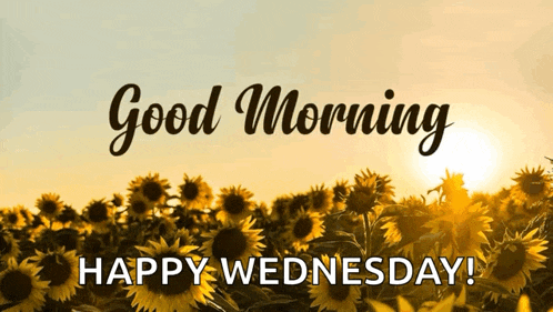 Good Morning Meme