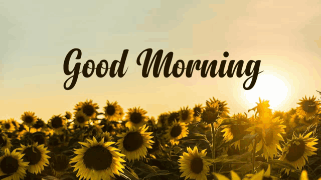 Good Morning Meme