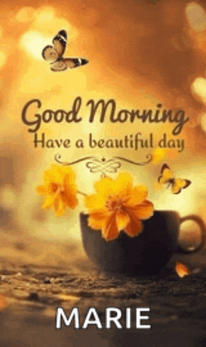 Good Morning Meme