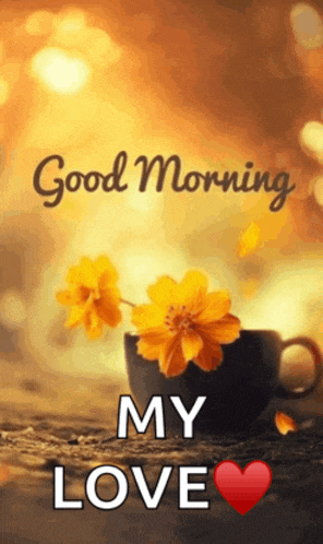 Good Morning Meme